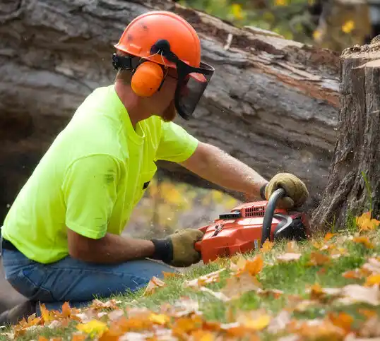 tree services Sunfield